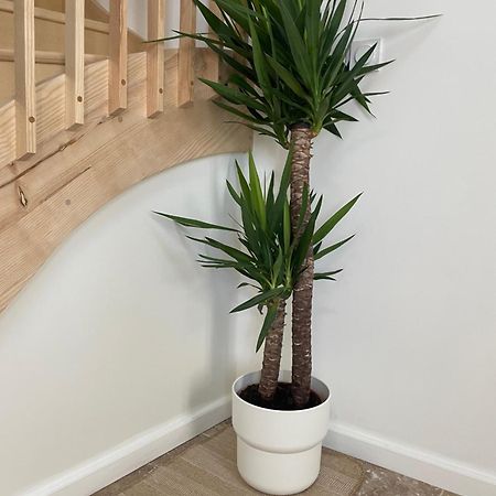 L Appartement Sete Magnifique Duplex Climatise Dış mekan fotoğraf