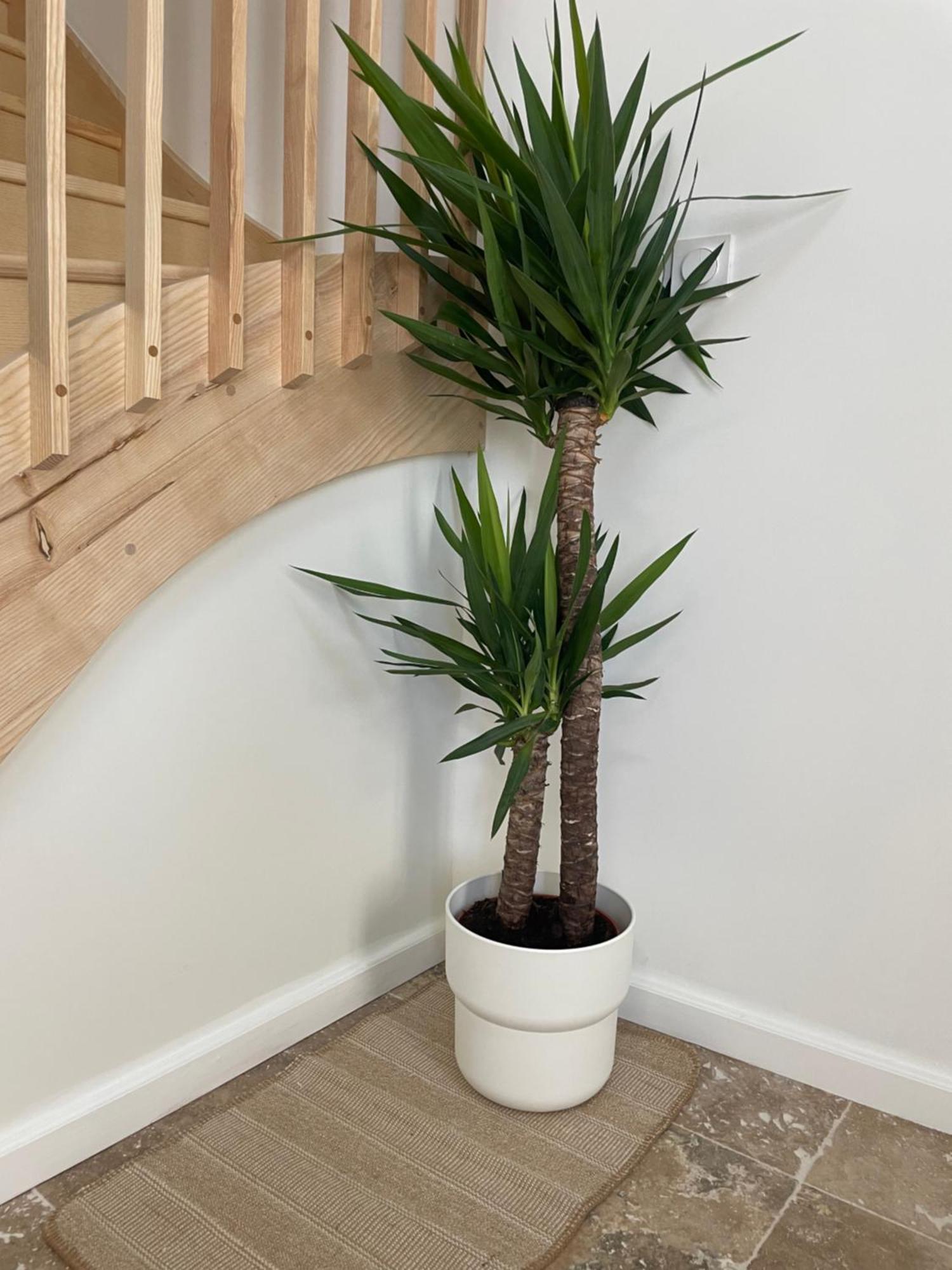 L Appartement Sete Magnifique Duplex Climatise Dış mekan fotoğraf